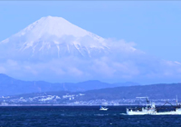 Landscapes with Mt. Fuji