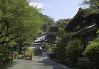 Rinsoin