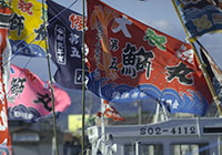 Fisherman’s Flags